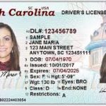 Driver licenses for sale online